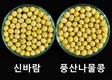 농촌진흥청, 수확량·품질 ‘쑥’ 용도별 콩 품종 안내
