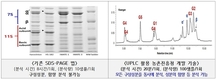 ‘콩 단백질’ 정밀 측정 분석법 세계 최초 개발