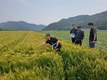 국산 밀 생산·제분·유통 기반 조성 현장 의견 청취
