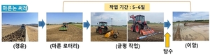 벼 마른논 써레질로 노동력은 줄고 환경은 보존