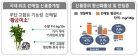 국내 최초 쓴메밀 ‘황금미소’ 현장 평가회 보러 오세요