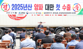 농식품부, 국내산 햇양파 수출 촉진을 통해 양파시장 안정화 도모