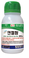 무더운 여름 빠르게 번식하는 총채벌레와의 정면승부