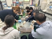 “버섯육종교실 신청하세요” 이론부터 실습까지 한 번에