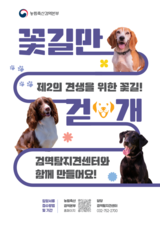 은퇴 검역탐지견 ‘알파’, 미국에서 새로운 삶을 시작하다