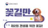 은퇴 검역탐지견 ‘알파’, 미국에서 새로운 삶을 시작하다