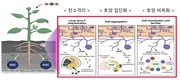 토양 탄소저장 ‘글로말린’, 국내 유기농경지 효과 확인한다