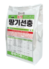 고랭지 배추…사탕무시스트선충 '경고등’