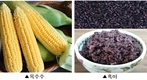 눈 건강 돕는 카로티노이드 함량, 국산 곡류 중 ‘옥수수’ 가장 높아