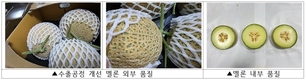 ‘30일 항해에도 신선’ 국산 멜론·수박 두바이 시범 수출 성공