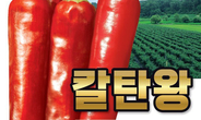동오시드 ‘칼탄왕’, 이상기후에도 뛰어난 내병성!