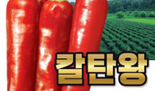 동오시드 ‘칼탄왕’, 이상기후에도 뛰어난 내병성!