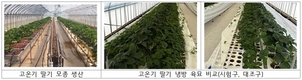 “필요한 스마트팜 기술만 쏙” 딸기 온실 생산성 높일 융합 모형 주목