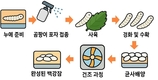 수입 의존 ‘백강잠’, 국내 종균·대량생산 기술로 국산화 지원