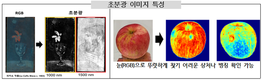 사과 속살 특성까지 ‘초분광’으로 신속 정확 판별