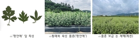 국립원예특작과학원-동아제약, ‘황해쑥’ 등 생약 원료 국산화 맞손