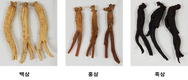 “한가위, 3색(色) 인삼으로 건강을 선물하세요”