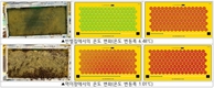 ‘가을철 벌무리 관리’ 꿀벌 월동 피해 최소화 좌우