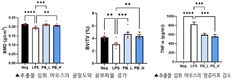 ‘꽃벵이 추출물’ 골다공증 완화 등 “뼈 건강에 효과 있네”