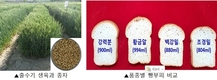 “맛에 감탄·모양에 매료” 국산 밀 빵·과자에 반하다