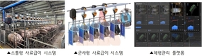 인공지능으로 돼지 사육도 정밀하게…모돈 체형 관리 기술 개발