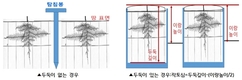 ‘현장 진단 처방법’으로 토양 양분 관리하세요
