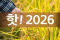 핫! 2026
