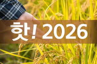 핫! 2026