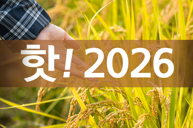 핫! 2026