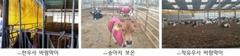 겨울철 질병·화재·폭설 대비 축사 관리 강화 당부