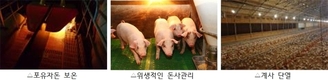 겨울철 질병·화재·폭설 대비 축사 관리 강화 당부