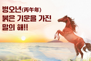 병오년(丙午年) 붉은 기운을 가진 말의 해!!
