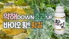 천지바이오, 바이오-황 기반 고기능성 유기농업자재 '황킬' 출시