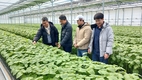 농촌진흥청, 겨울철 잎들깨 시설재배 한파 대비 현장 점검