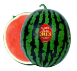 농우바이오 3월 추천 품종