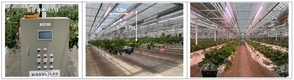 일조량 따라 온실 광량 자동 보충…‘보광 기술’ 효과 입증