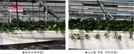 일조량 따라 온실 광량 자동 보충…‘보광 기술’ 효과 입증