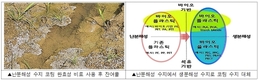 비료 줄이고 환경 지키고, ‘생분해 코팅’ 완효성 비료 기술 개발