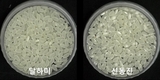쌀알 투명하고 병에 강한 신품종 벼 ‘달하미’ 개발