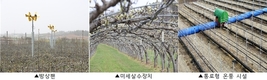 농촌진흥청, 과수 개화 전후 저온 피해 대응 현장 기술지원단 운영
