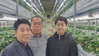 인존장학복지재단–팬텀엑셀러레이터, 스마트 농업 산업화 착수…‘딸기 식물공장 농업법인’ 출범