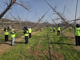 NH농우바이오, 강원도 원주 복숭아농가 일손 돕기 실시