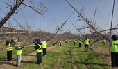 NH농우바이오, 강원도 원주 복숭아농가 일손 돕기 실시