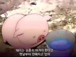 킹기훈, 최근 SNS에 “여러분 오늘 오후4시에 다이어트...”