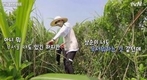 ‘일로 만난 사이’ 봐야 좋은 것 같다라고 솔직하게 말했다.