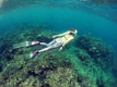 오정연, “freediving in moalboal, cebu” 근황공개 눈길