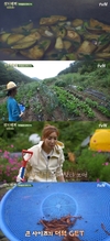 `삼시세끼 산촌편` 세끼 멤버들의 저녁 메뉴는