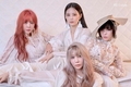 ‘[Official Photo｜White] Brown Eyed...’ 지난 19일 제아의 인스타그램이 화제