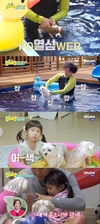 김기두는 좀처럼 좁혀지지 않는...? “똥강아지들”