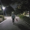 차예련, SNS를 통해 24일 일상공개 “밤 산책  선선한...”